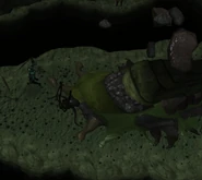 Mallum dies