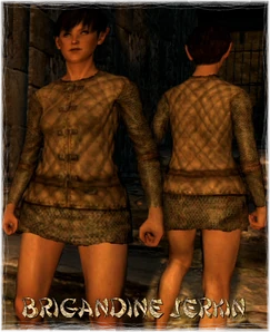 Armour Torso Brigandine Jerkin