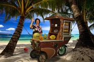 Ao104 005 hawaii