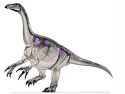 Erlikosaurus-1