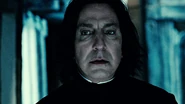 The Story of Severus Snape