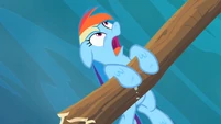 Rainbow Dash you! S2E8