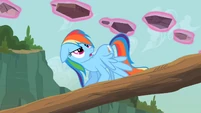 Rainbow Dash kidding me S2E8