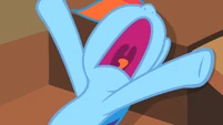 Rainbow Dash 'I don't have to admire that!' S2E08