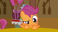 Scootaloo thinking S1E12