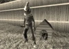 Dog gone Evil FUN.jpg
