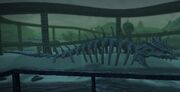 Skagasaurus-rex