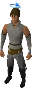 Saradomin halo equipped