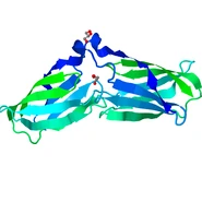 4G5A.pdb