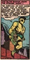Yellow Wasp 01.jpg