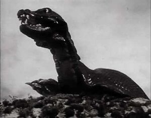 Skarasen