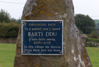 Barti ddu plac200