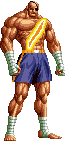Sagat-sc-intro2