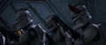 StormTheBase-Rookies.png
