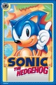 Sonic 1 Card.jpeg