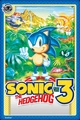 Sonic 3 Card.jpeg