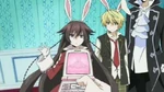 Bunny Alice