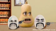 Eggs and squash
