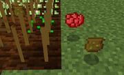 Seedbagdropped
