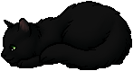 Hollyleaf.kit.png (2 KB) Hollyleaf.kit