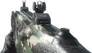 G11 Woodland BO