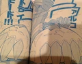 Photo (6)