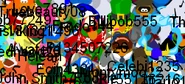 ROOKIESPOTTED2004