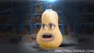 Squash 2