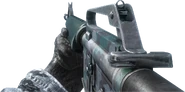 M16 Warsaw BO