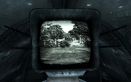 Black and white adventure begins
