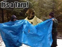 Tarp-30198