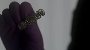 Walter Winchell's Tie Clip