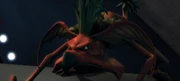 Mukmuk crawl
