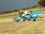 Stubble Trimming