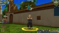 NPCCMartialArtist(DBO)