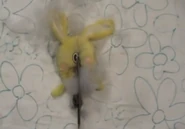 Cuddlessplittinghares