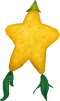 Fruto Paopu
