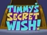 Usersecretwish