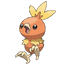 Torchic