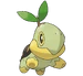 Turtwig