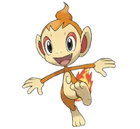 Chimchar