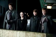 The Volturi