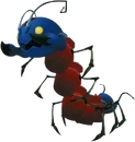 Pot Centipede KH