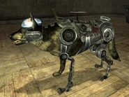Rex cyberdog