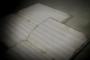 DNA TLP Prologue