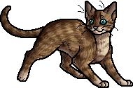 Owlclaw.apprentice