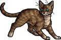 Owlclaw.apprentice