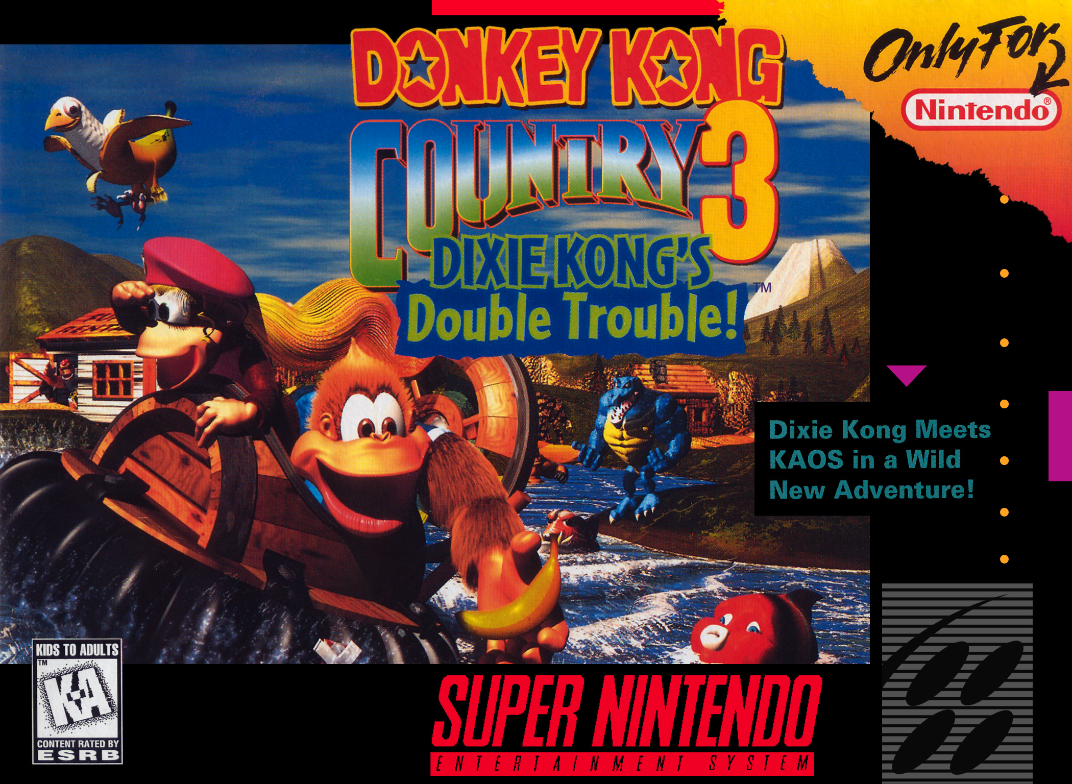 Donkey_Kong_Country_3_-_Dixie_Kong's_Double_Trouble!_(NA).png
