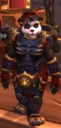Riki the Shifting Shadow