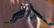 Observer Owl 2